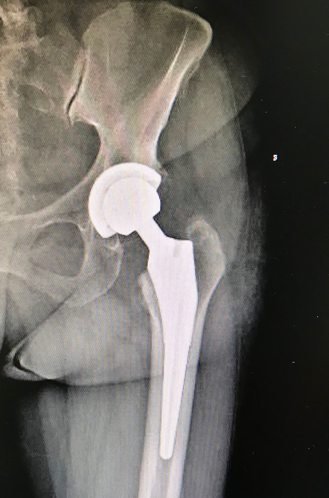 Alberto Maria Bonifazi-3