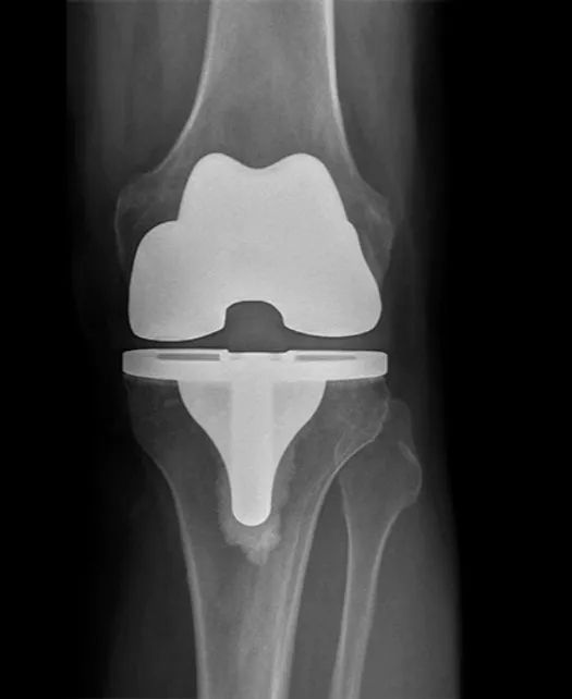 Massimiliano Carrozzo-3