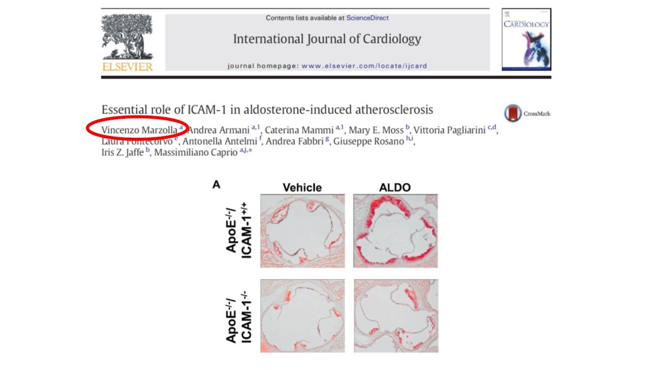 Vincenzo Marzolla-16