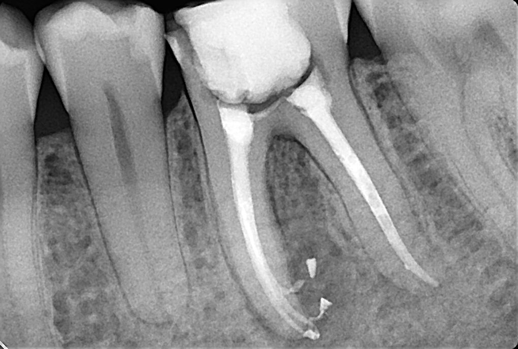 Dominika Witkowska-Pszczoła-16