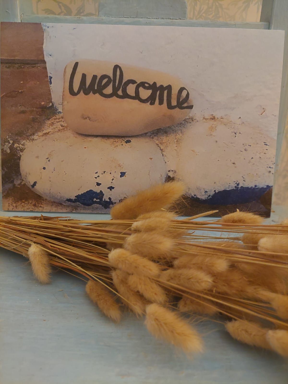 Beatriz De Silva Coronado González-3