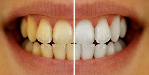 Natalia Danus Robert-4