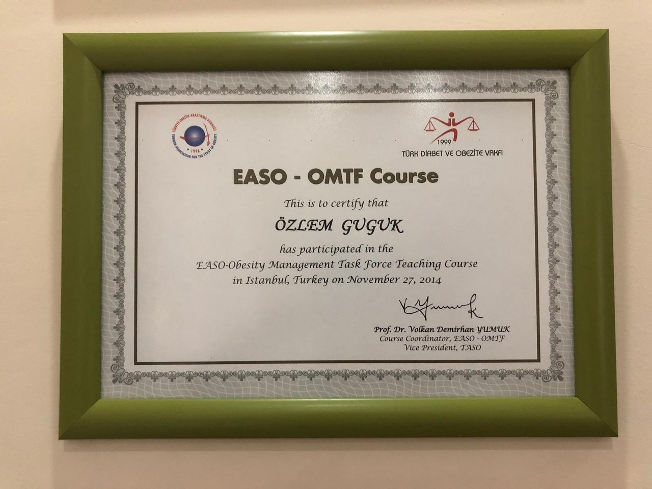 Özlem Guguk Alaca-40