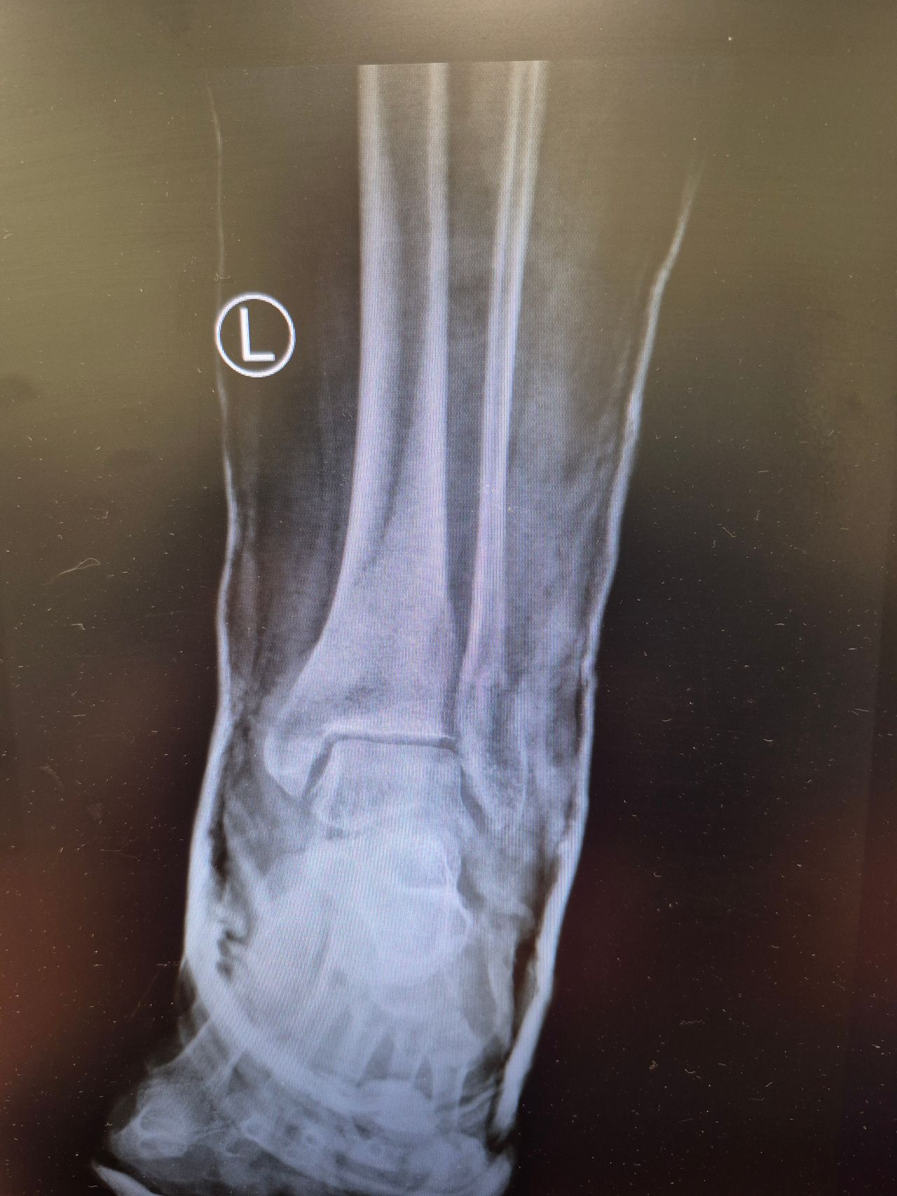 Jarosław Pilarek-12