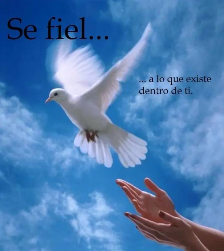 Federico García Arrillaga-4