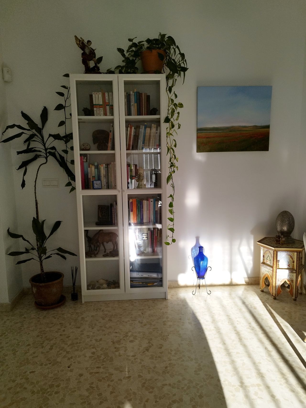 Fco. Javier Rodríguez Del Valle-14