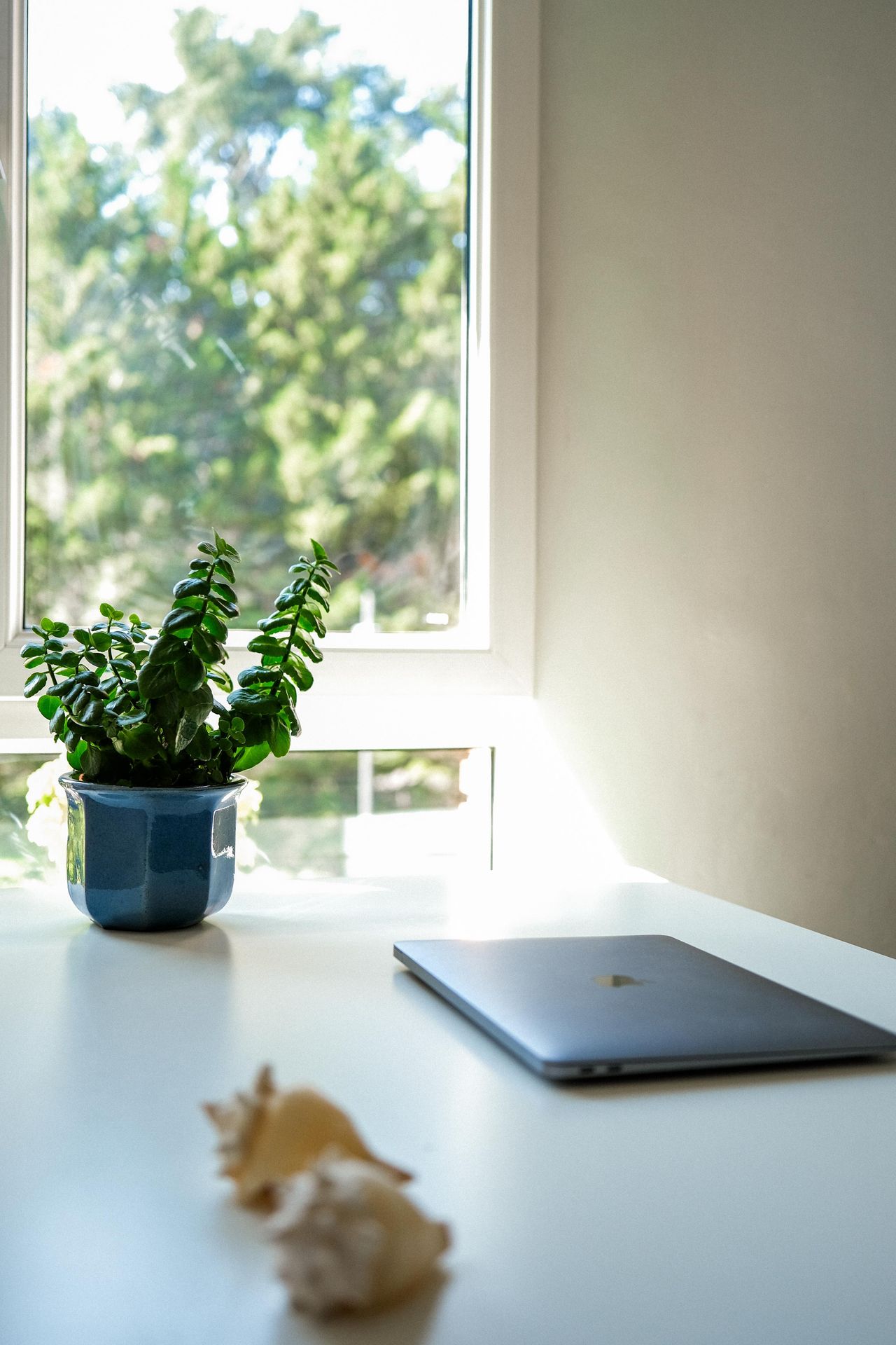 Mariana De La Sota-0