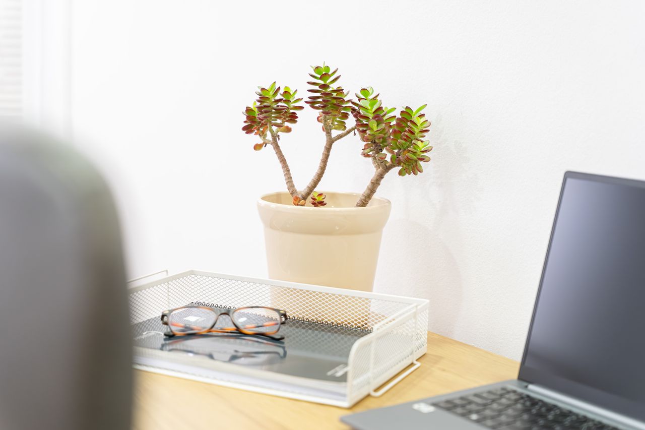 Anabel Rivero Vera-3