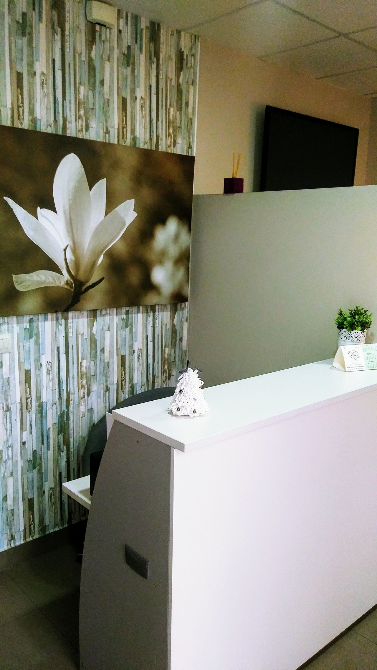 Víctor Tornero Montaraz-4