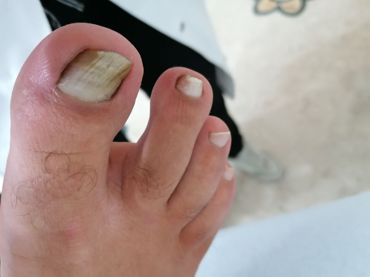 Kassandra Nicolosi-18