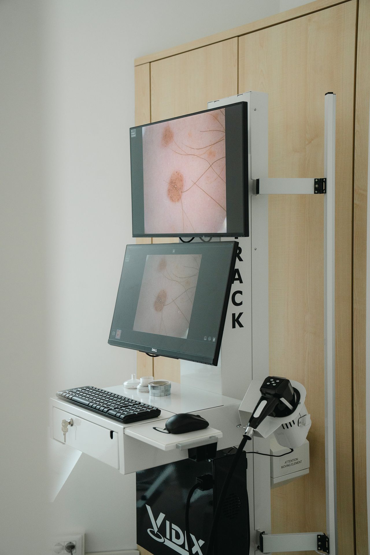 Francesco Barberi-10