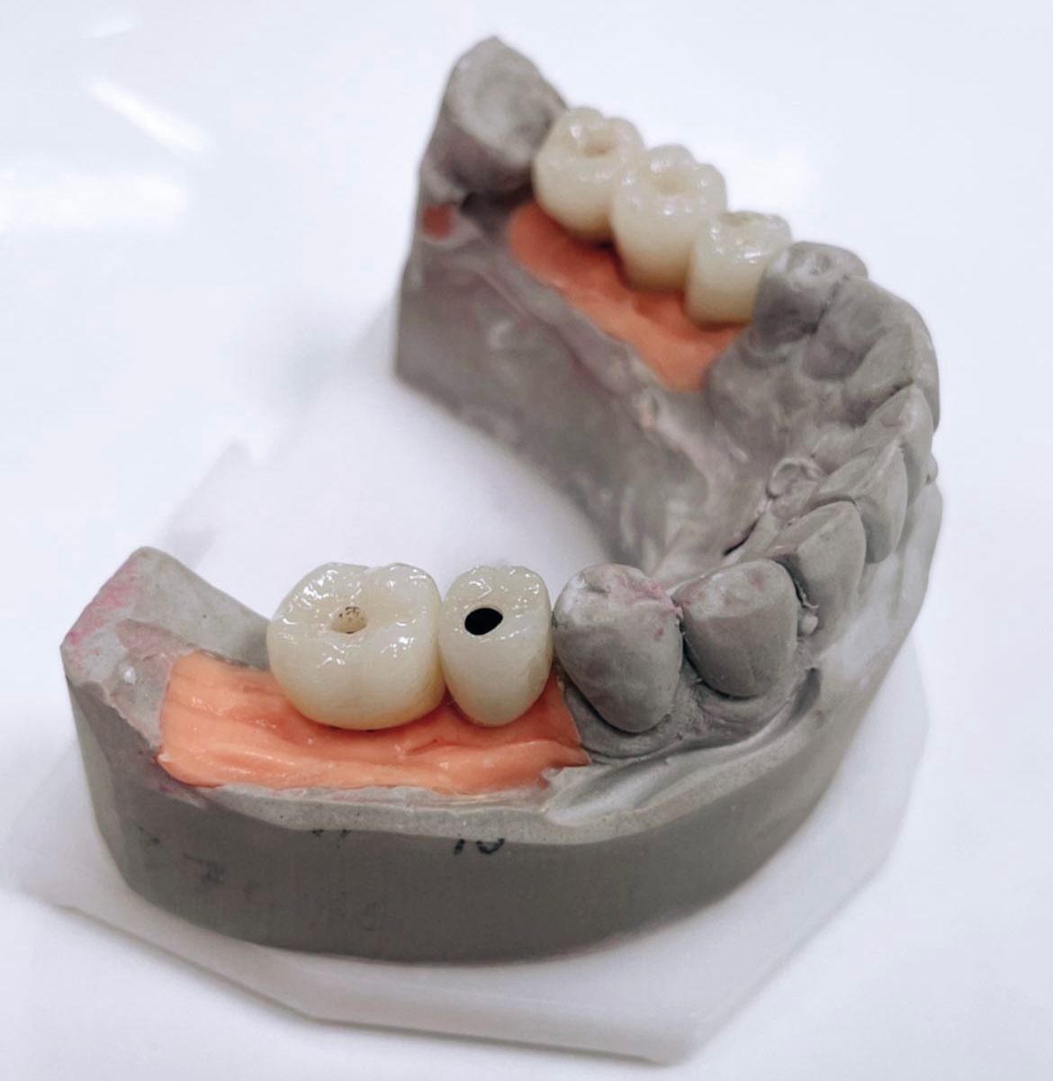 Agata Dąbrowska-Adamek-39