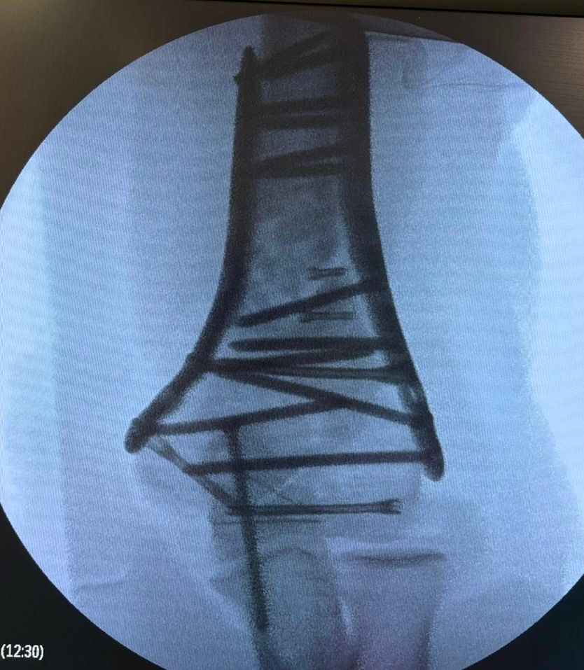 Manel Panadero Moncusi-10