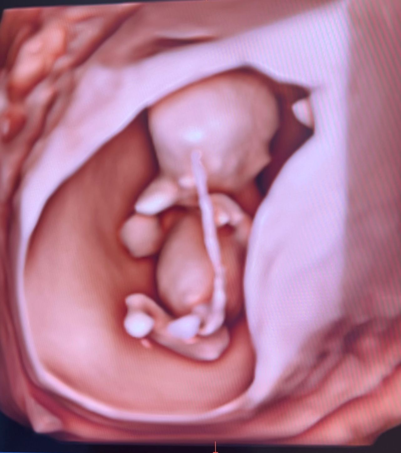 Francesca Dessolis-4