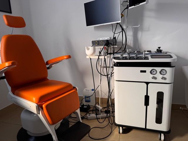 Mirosława Pietniczka-Załęska-0