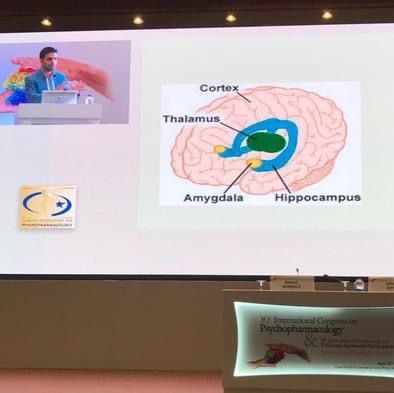 Serhat Nasıroğlu-21