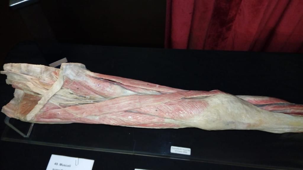 Francesco Chiarenza-16