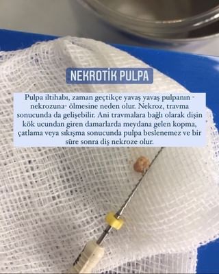 Orhan Rıdvan Vurgeç-1