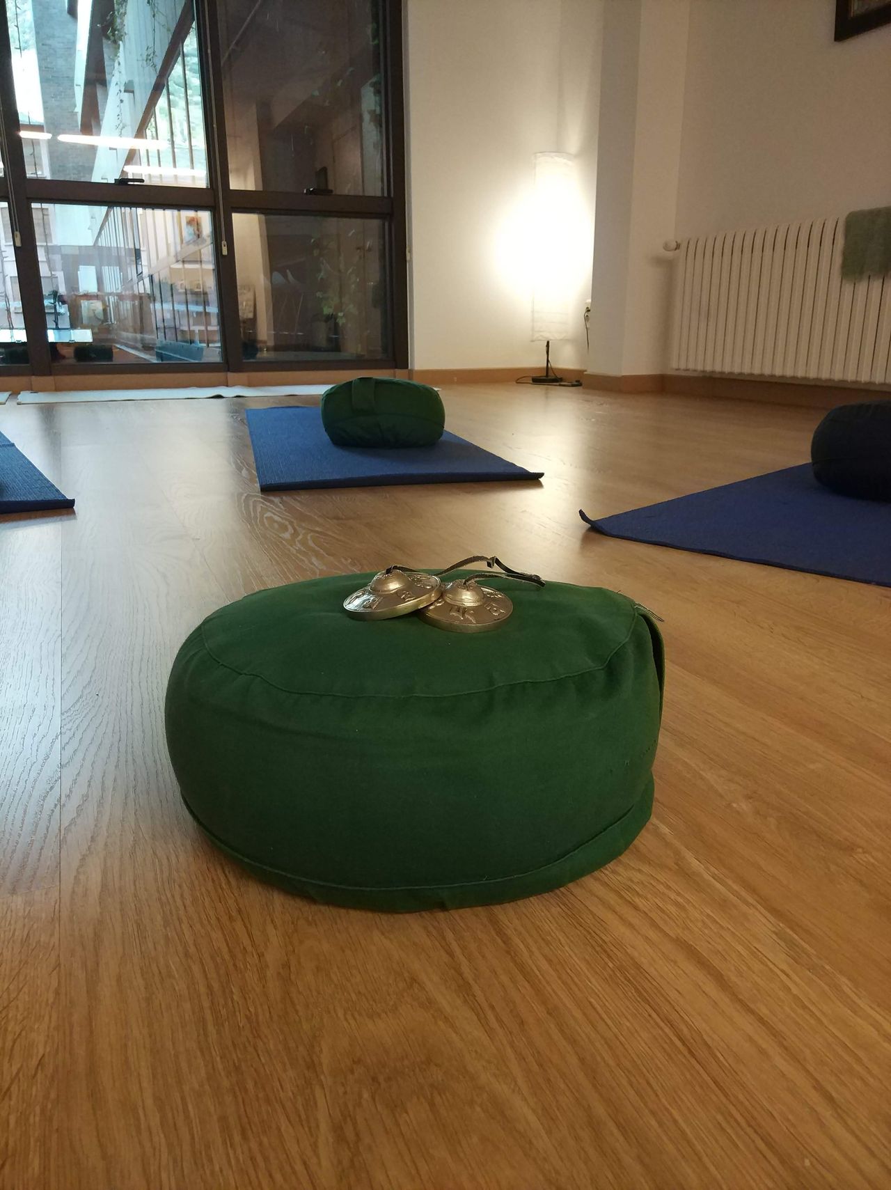 Claudia Rodríguez-5