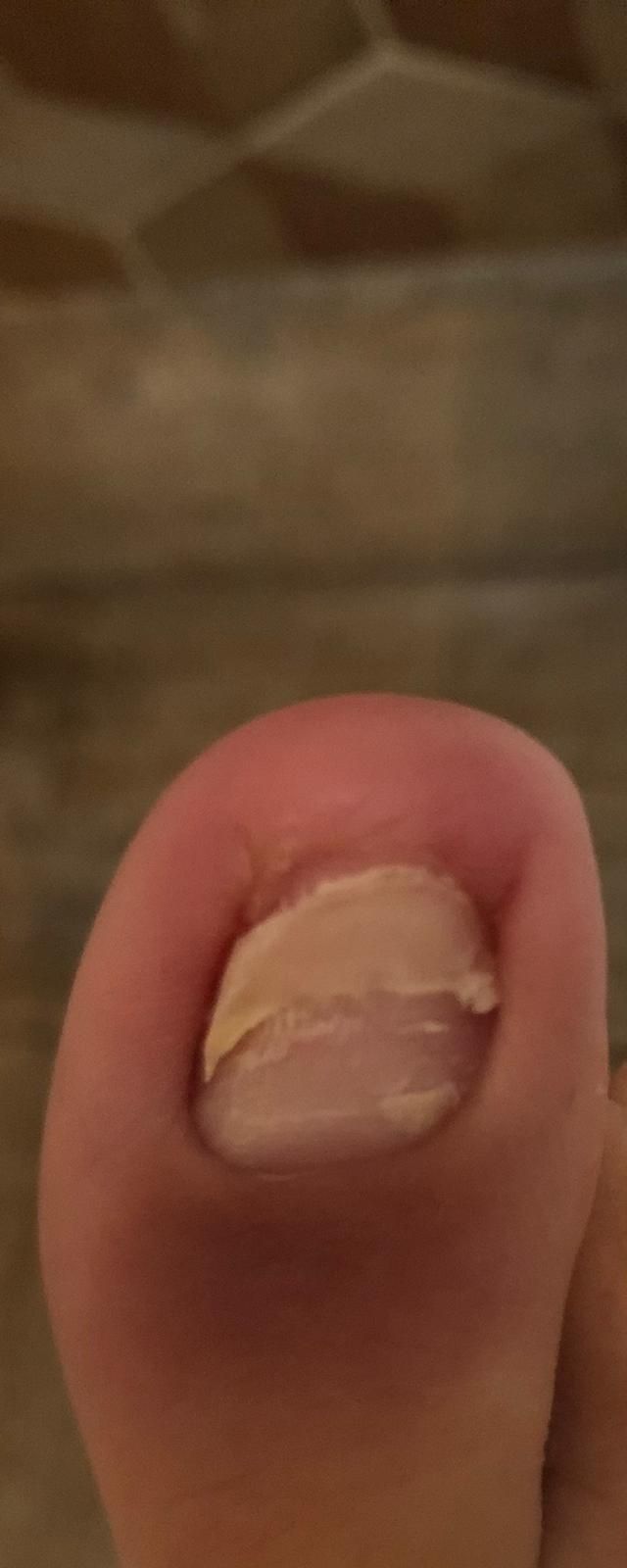 Kassandra Nicolosi-118