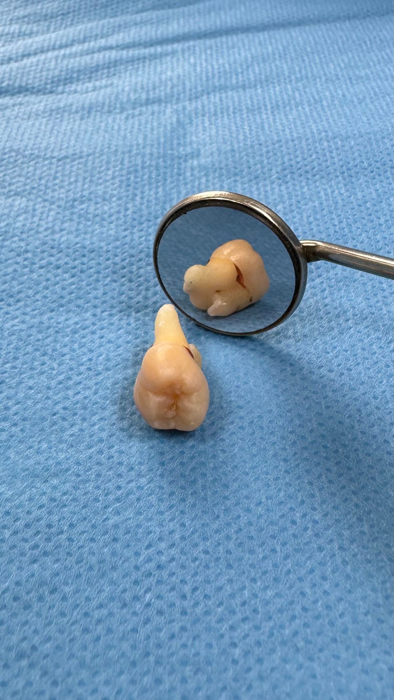 Karol  Seligowski-14