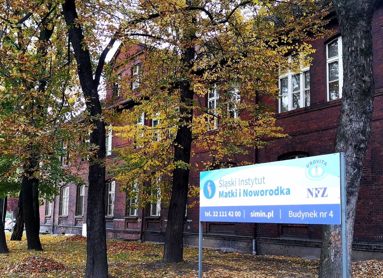 Anna Heinrich - Kupka-0