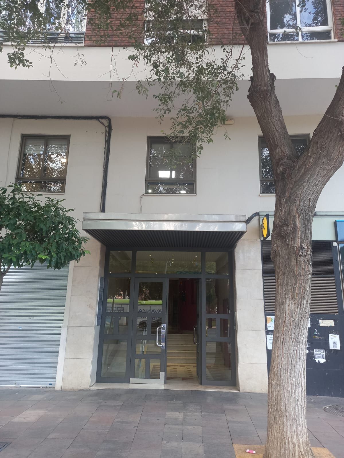 María Dolores Mora Ros-0