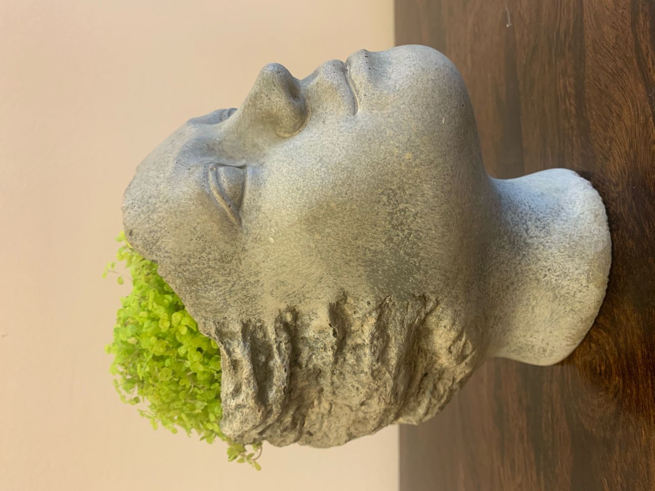 Dariusz Wołoszczyk-6