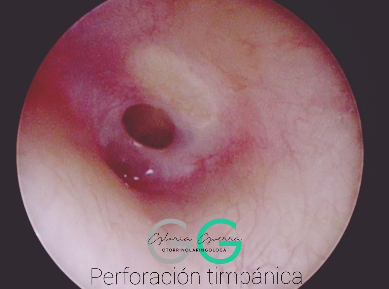 Gloria Guerra Jiménez-8