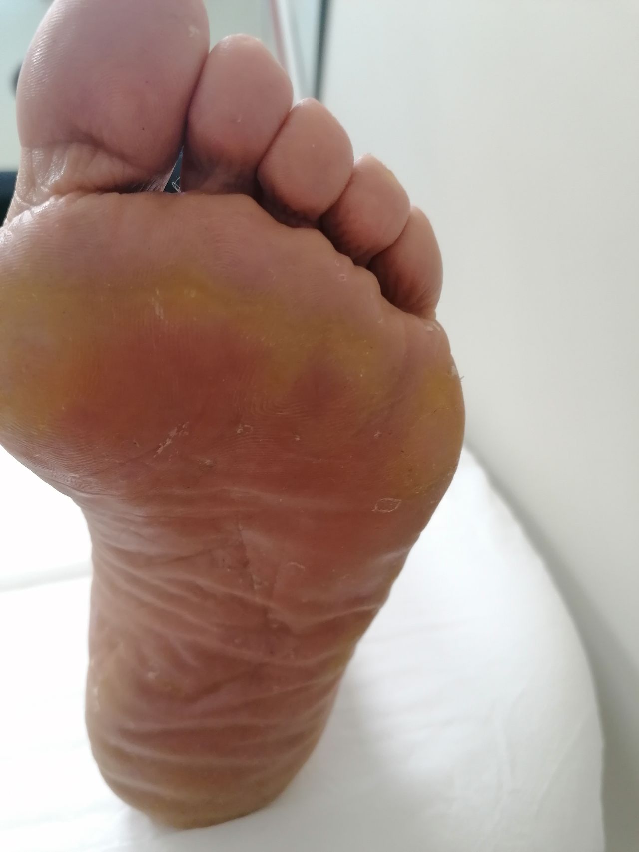 Kassandra Nicolosi-254