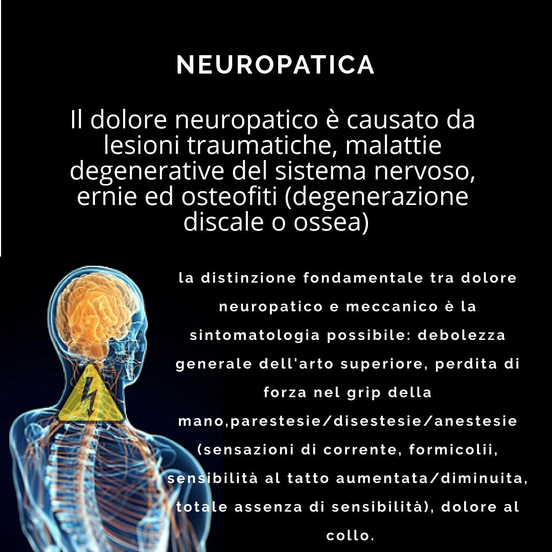 Tommaso Albertini-10