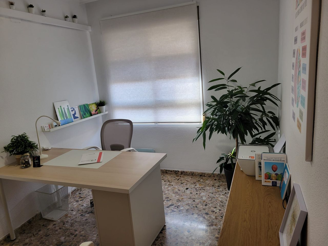 Carmina Llopis Chelet-14