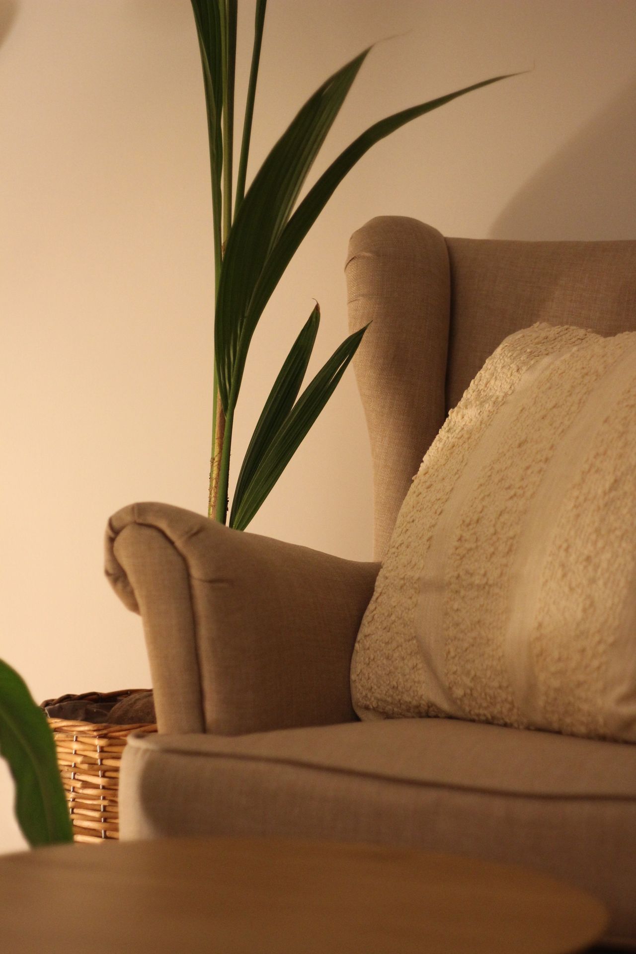 Paulina  Lenartowicz -1