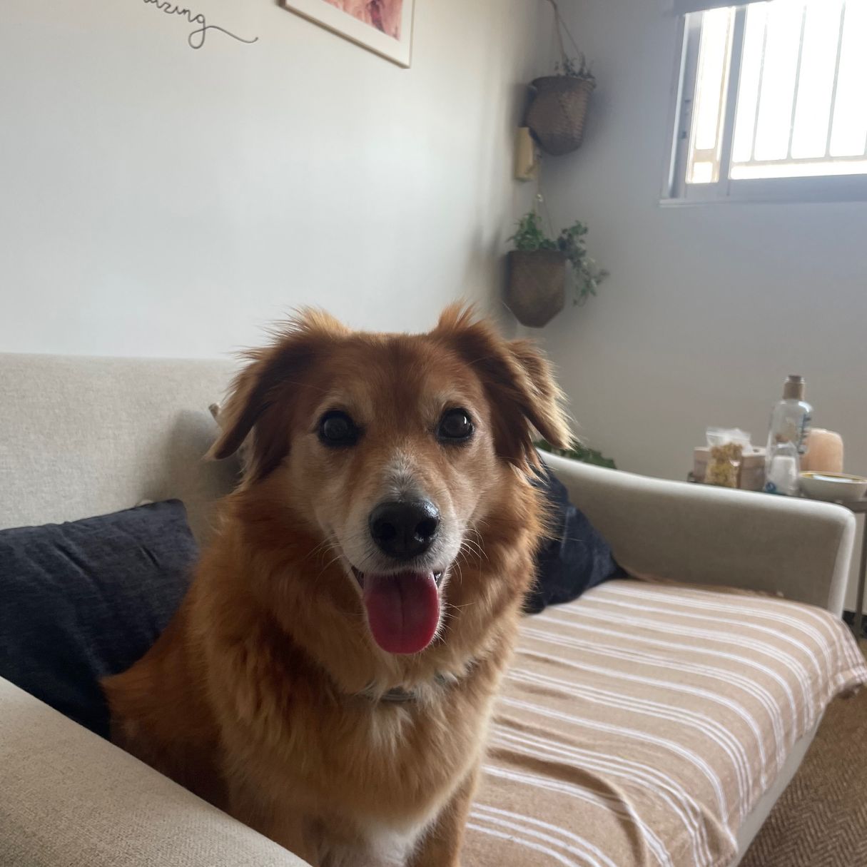 Patricia Gutiérrez Isla-8