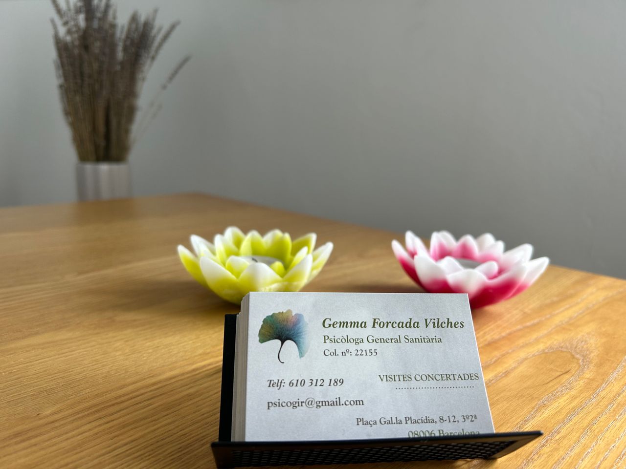 Gemma Forcada Vilches-0