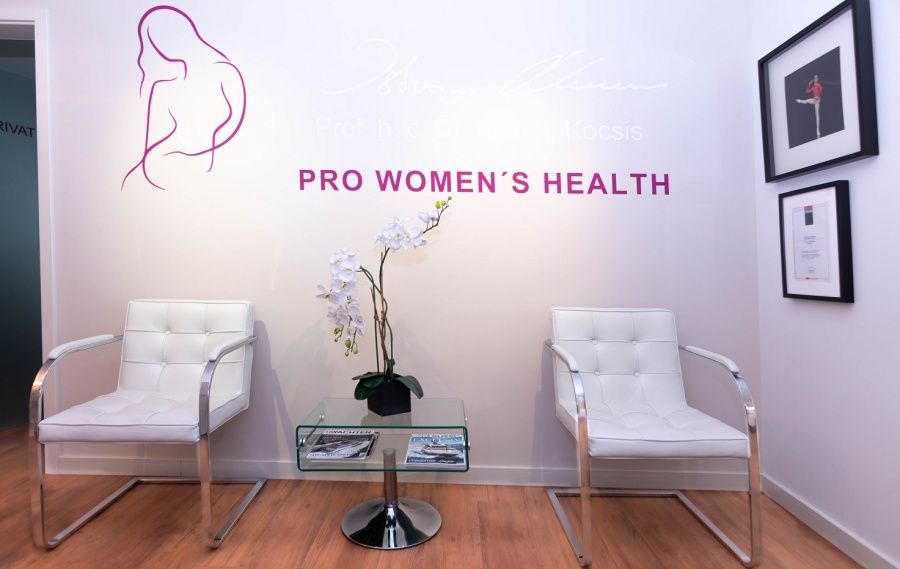 H.c. Dr. Med. Istvan Kocsis-10