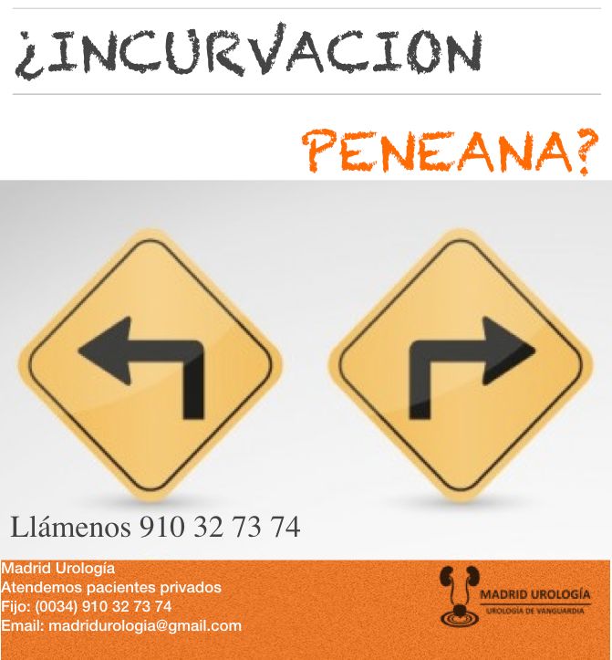 Luis Fernando Susaníbar Napurí-42