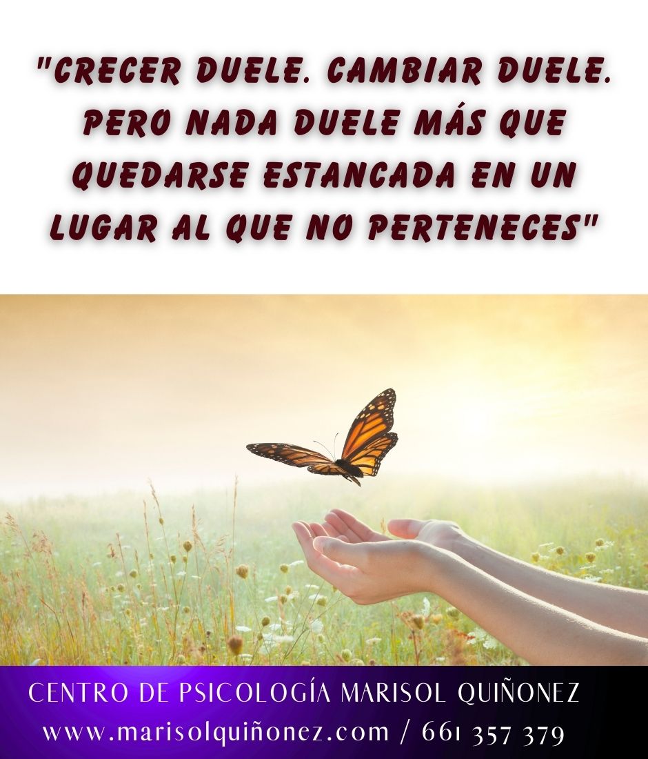 Marisol Quiñonez Quintero-108