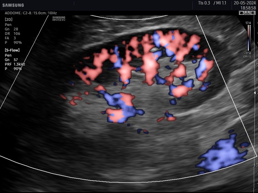 Gianluca Cisternino-19