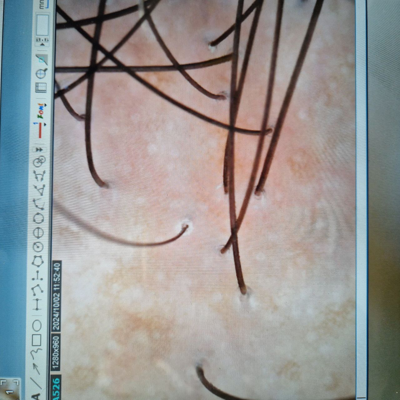 Rocío López López-1