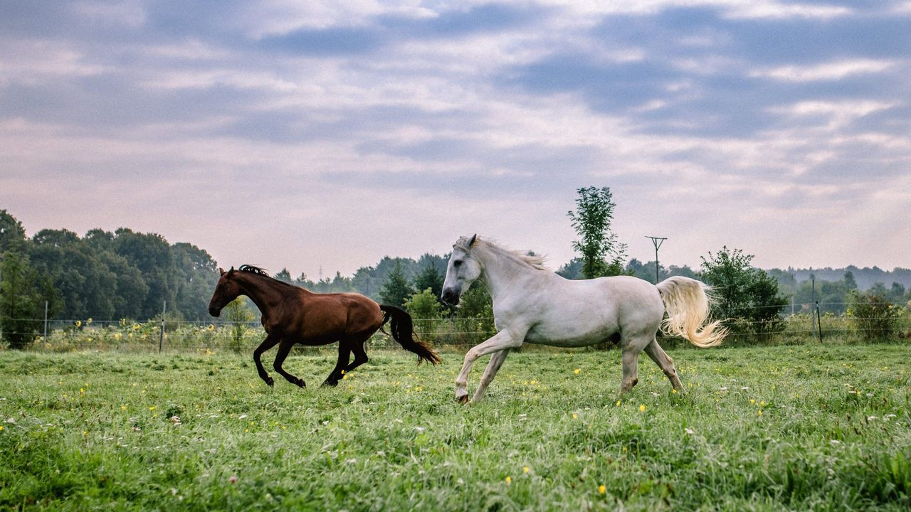 Martina Kammerlander-Fischer-4