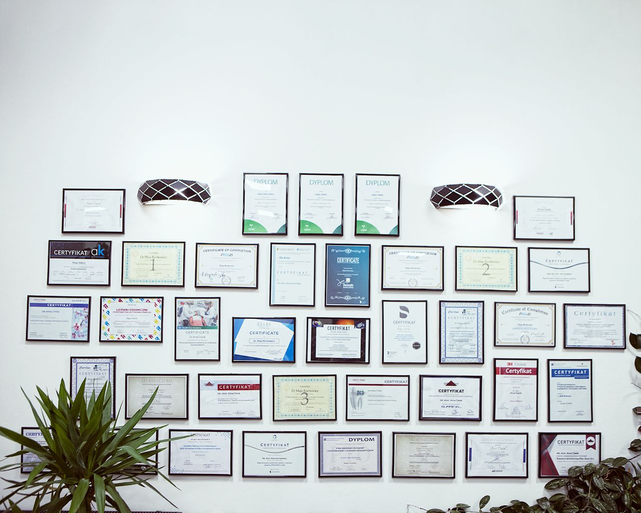 Alicja Morawska - Wilk-1