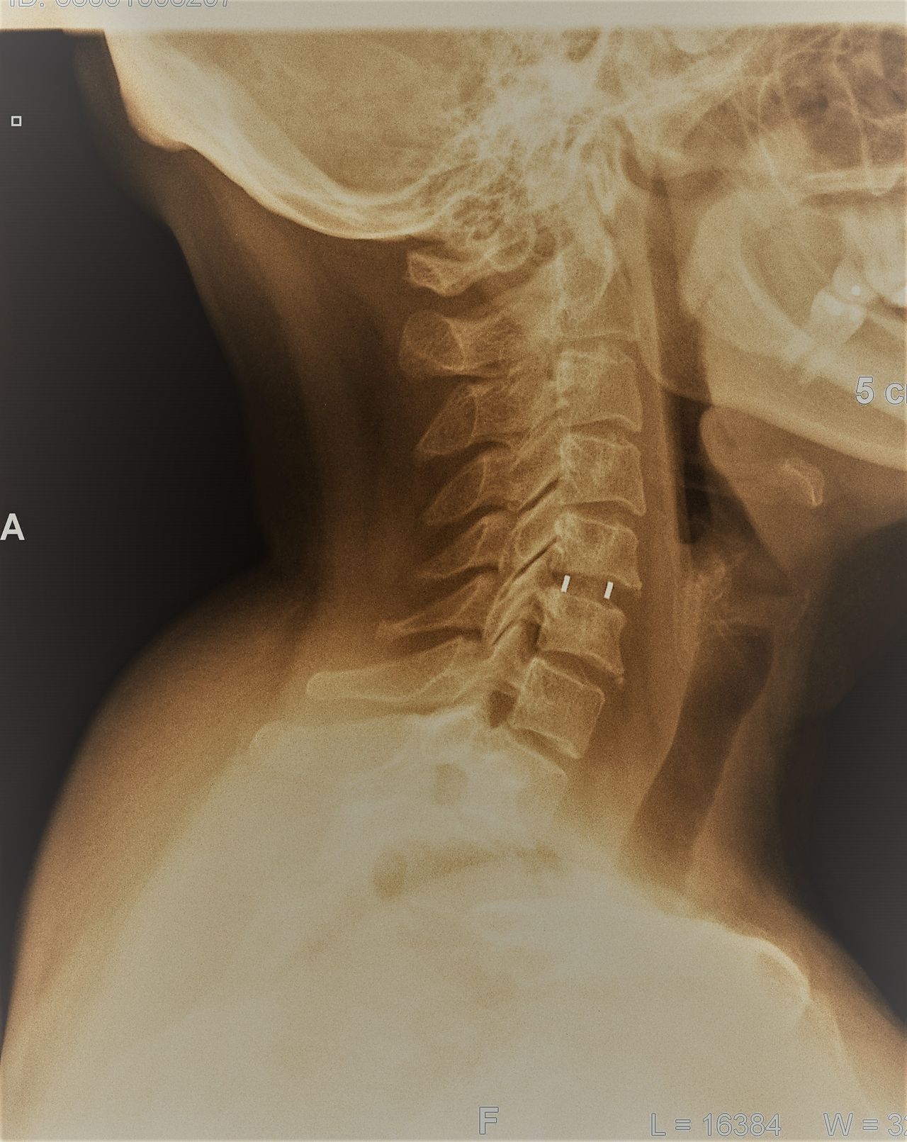 Jarosław Andrychowski-32