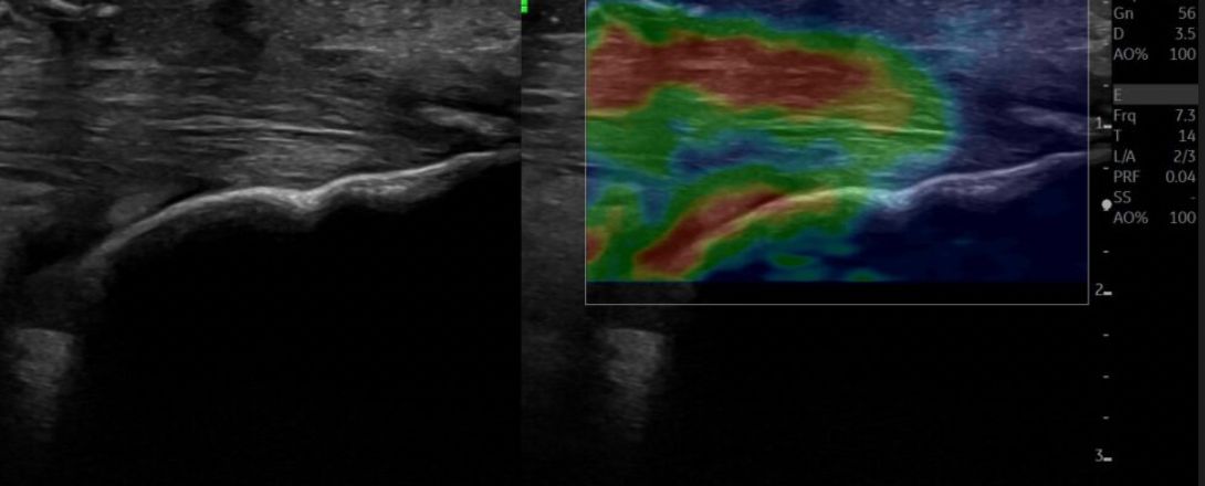 Salvatore Lucchesi-3