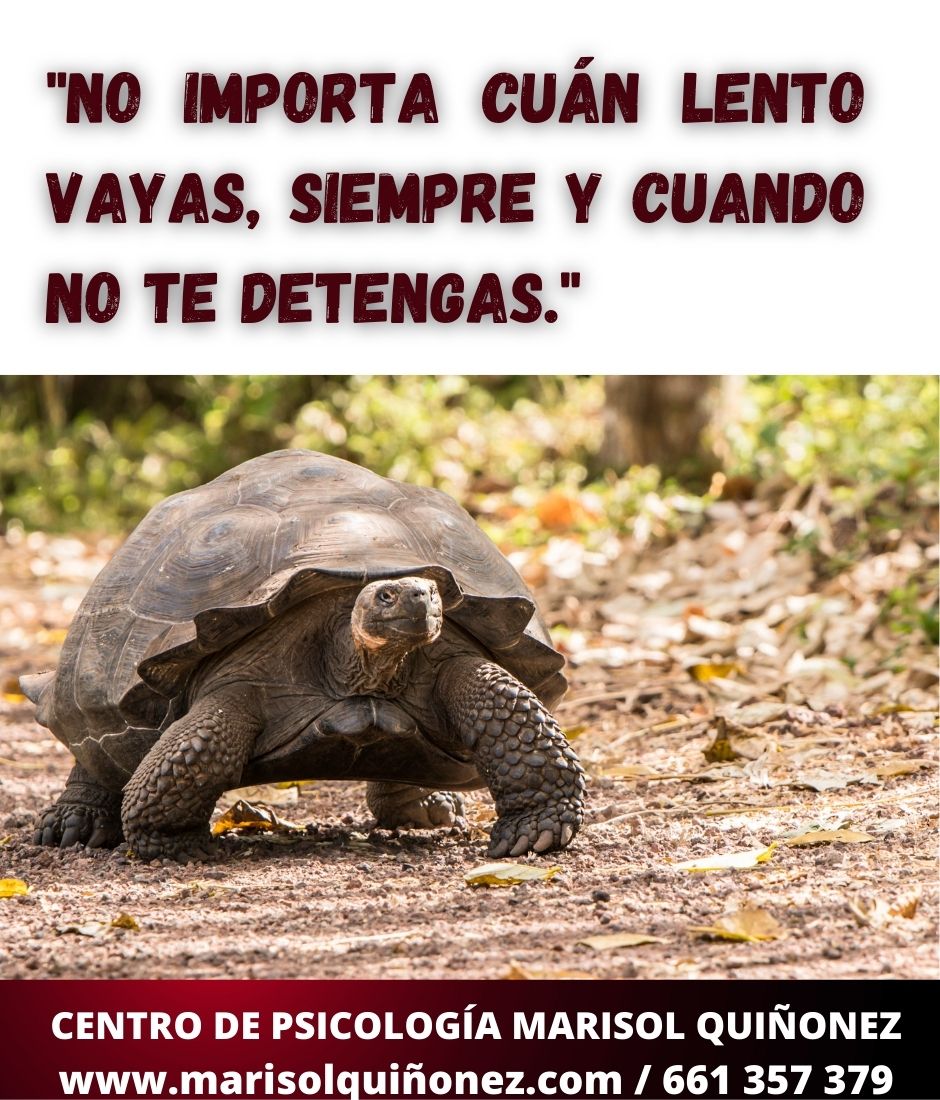 Marisol Quiñonez Quintero-42