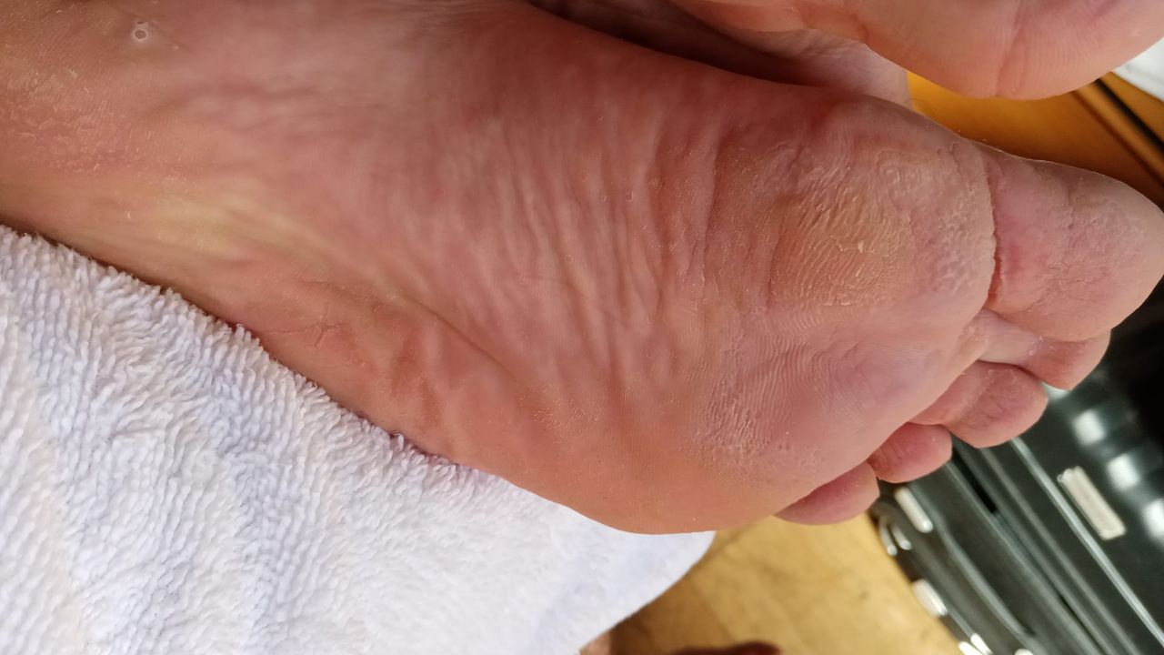 Kassandra Nicolosi-233