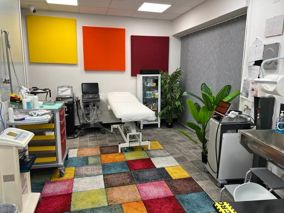 Maria Cristina Magagnini-1