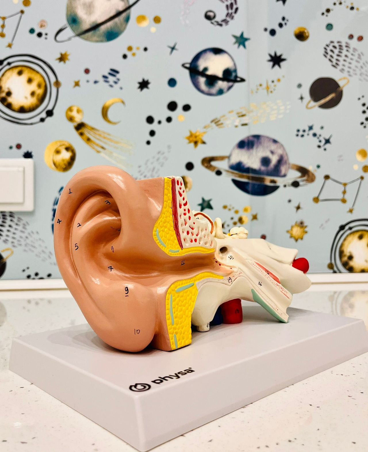 Maria Skonieczna-Barc-2