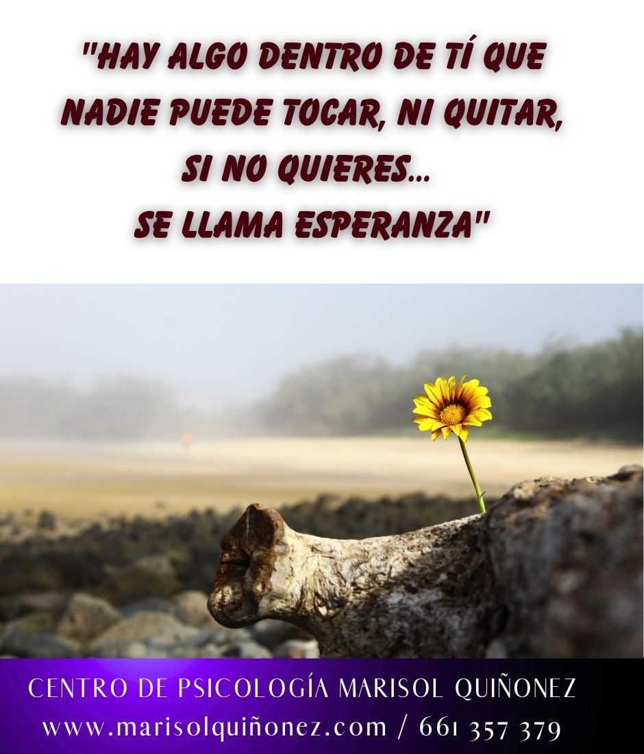 Marisol Quiñonez Quintero-87