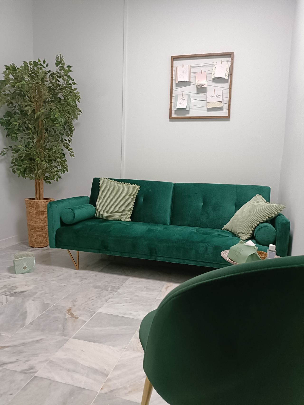 Nicolas Guillen Albarreal-3